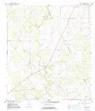 Ray Point Texas Historical topographic map, 1:24000 scale, 7.5 X 7.5 Minute, Year 1965