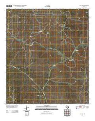 Ray Lake Texas Historical topographic map, 1:24000 scale, 7.5 X 7.5 Minute, Year 2010