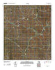 Ray Lake Texas Historical topographic map, 1:24000 scale, 7.5 X 7.5 Minute, Year 2010