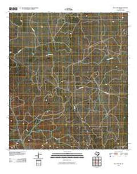 Ray Lake NW Texas Historical topographic map, 1:24000 scale, 7.5 X 7.5 Minute, Year 2010