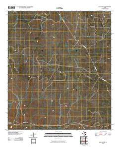 Ray Lake SE Texas Historical topographic map, 1:24000 scale, 7.5 X 7.5 Minute, Year 2010