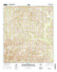 Ray Lake SE Texas Current topographic map, 1:24000 scale, 7.5 X 7.5 Minute, Year 2016
