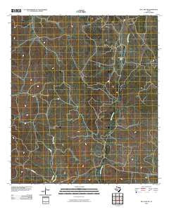 Ray Lake SW Texas Historical topographic map, 1:24000 scale, 7.5 X 7.5 Minute, Year 2010