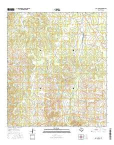 Ray Lake SW Texas Current topographic map, 1:24000 scale, 7.5 X 7.5 Minute, Year 2016