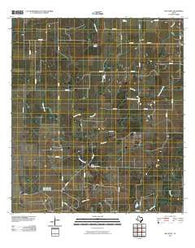 Ray Point Texas Historical topographic map, 1:24000 scale, 7.5 X 7.5 Minute, Year 2010