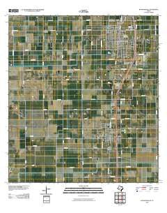 Raymondville Texas Historical topographic map, 1:24000 scale, 7.5 X 7.5 Minute, Year 2010