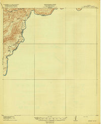 Reagan Canyon Texas Historical topographic map, 1:62500 scale, 15 X 15 Minute, Year 1918