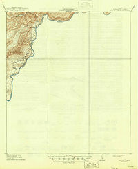 Reagan Canyon Texas Historical topographic map, 1:62500 scale, 15 X 15 Minute, Year 1918