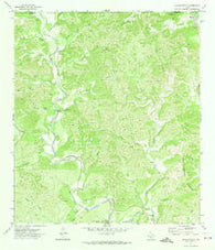 Reagan Wells Texas Historical topographic map, 1:24000 scale, 7.5 X 7.5 Minute, Year 1971