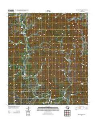 Reagan Wells Texas Historical topographic map, 1:24000 scale, 7.5 X 7.5 Minute, Year 2012
