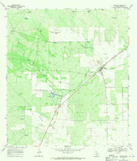 Realitos Texas Historical topographic map, 1:24000 scale, 7.5 X 7.5 Minute, Year 1967