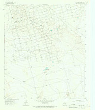 Red Lakes Texas Historical topographic map, 1:24000 scale, 7.5 X 7.5 Minute, Year 1964
