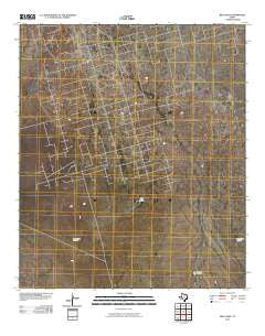 Red Lakes Texas Historical topographic map, 1:24000 scale, 7.5 X 7.5 Minute, Year 2010