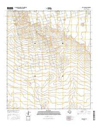 Red Lakes Texas Current topographic map, 1:24000 scale, 7.5 X 7.5 Minute, Year 2016