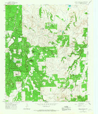 Reddy Mountain Texas Historical topographic map, 1:24000 scale, 7.5 X 7.5 Minute, Year 1965