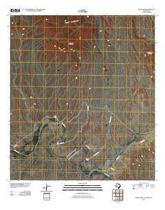 Reed Camp Texas Historical topographic map, 1:24000 scale, 7.5 X 7.5 Minute, Year 2010