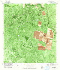 Refugio SW Texas Historical topographic map, 1:24000 scale, 7.5 X 7.5 Minute, Year 1978