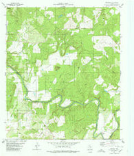 Regency Texas Historical topographic map, 1:24000 scale, 7.5 X 7.5 Minute, Year 1980