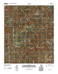 Regency Texas Historical topographic map, 1:24000 scale, 7.5 X 7.5 Minute, Year 2010