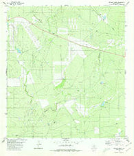 Retama Creek Texas Historical topographic map, 1:24000 scale, 7.5 X 7.5 Minute, Year 1980