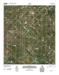 Rexville Texas Historical topographic map, 1:24000 scale, 7.5 X 7.5 Minute, Year 2010