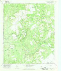 Reynolds Bend Texas Historical topographic map, 1:24000 scale, 7.5 X 7.5 Minute, Year 1966