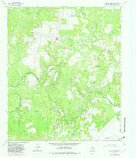Reynolds Bend Texas Historical topographic map, 1:24000 scale, 7.5 X 7.5 Minute, Year 1966