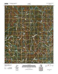 Reynolds Bend Texas Historical topographic map, 1:24000 scale, 7.5 X 7.5 Minute, Year 2010