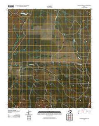 Reynolds Bend NW Texas Historical topographic map, 1:24000 scale, 7.5 X 7.5 Minute, Year 2010