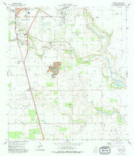 Ricardo Texas Historical topographic map, 1:24000 scale, 7.5 X 7.5 Minute, Year 1979