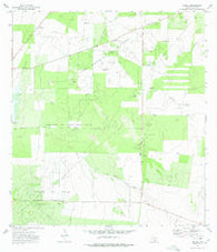 Rincon Texas Historical topographic map, 1:24000 scale, 7.5 X 7.5 Minute, Year 1972