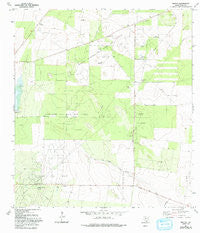 Rincon Texas Historical topographic map, 1:24000 scale, 7.5 X 7.5 Minute, Year 1972