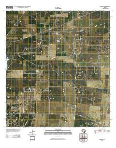 Rincon Texas Historical topographic map, 1:24000 scale, 7.5 X 7.5 Minute, Year 2010