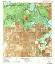 Rincon Bend Texas Historical topographic map, 1:24000 scale, 7.5 X 7.5 Minute, Year 1979