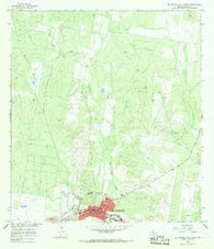 Rio Grande City North Texas Historical topographic map, 1:24000 scale, 7.5 X 7.5 Minute, Year 1965