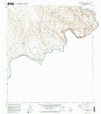 Rio Grande Village Texas Historical topographic map, 1:24000 scale, 7.5 X 7.5 Minute, Year 1971