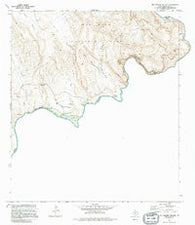 Rio Grande Village Texas Historical topographic map, 1:24000 scale, 7.5 X 7.5 Minute, Year 1971