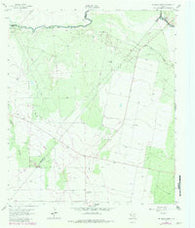 Rio Pecos Ranch Texas Historical topographic map, 1:24000 scale, 7.5 X 7.5 Minute, Year 1963