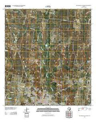 Rio Grande City North Texas Historical topographic map, 1:24000 scale, 7.5 X 7.5 Minute, Year 2010
