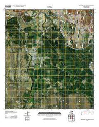 Rio Grande City South Texas Historical topographic map, 1:24000 scale, 7.5 X 7.5 Minute, Year 2010