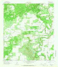 Riomedina Texas Historical topographic map, 1:24000 scale, 7.5 X 7.5 Minute, Year 1964