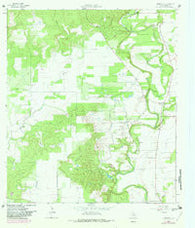 Riomedina Texas Historical topographic map, 1:24000 scale, 7.5 X 7.5 Minute, Year 1964