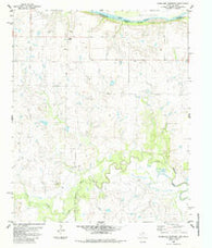 Riverland Cemetery Texas Historical topographic map, 1:24000 scale, 7.5 X 7.5 Minute, Year 1985