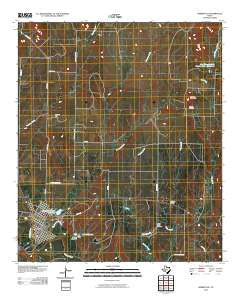Robert Lee Texas Historical topographic map, 1:24000 scale, 7.5 X 7.5 Minute, Year 2010