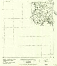 Roma Texas Historical topographic map, 1:62500 scale, 15 X 15 Minute, Year 1956