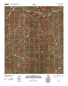 Roosevelt Texas Historical topographic map, 1:24000 scale, 7.5 X 7.5 Minute, Year 2010