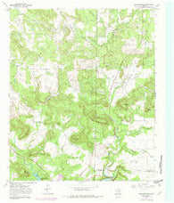 Ross Mountain Texas Historical topographic map, 1:24000 scale, 7.5 X 7.5 Minute, Year 1967