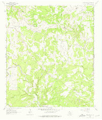Rough Hollow Texas Historical topographic map, 1:24000 scale, 7.5 X 7.5 Minute, Year 1963