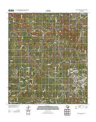 Rough Hollow Texas Historical topographic map, 1:24000 scale, 7.5 X 7.5 Minute, Year 2012