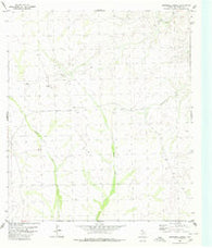 Roundhill Ranch Texas Historical topographic map, 1:24000 scale, 7.5 X 7.5 Minute, Year 1980